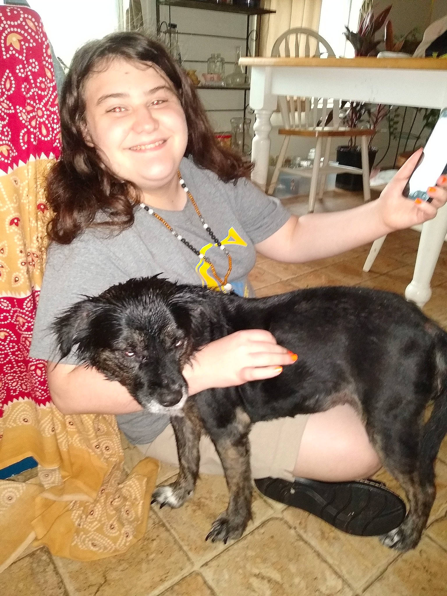 Evee is registered to the contest to win money with this photo: canidae, carnivore, companion_dog, dog, dog_breed, joy, miniature_schnauzer, person, schnauzer, schnoodle, sporting_group