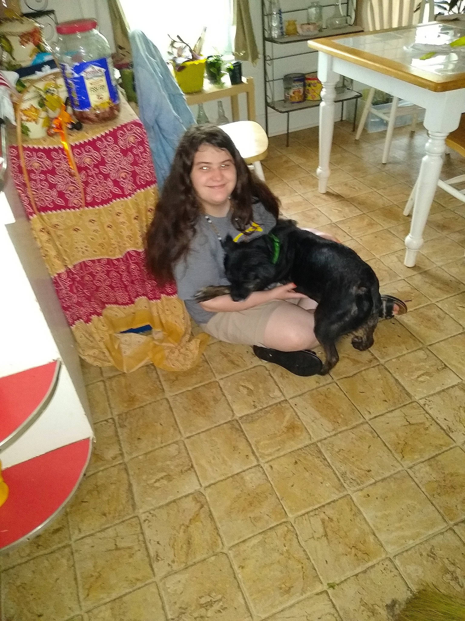 Evee is registered to the contest to win money with this photo: canidae, carnivore, companion_dog, dog, dog_breed, fawn, floor, flooring, joy, person, play, sporting_group, tile