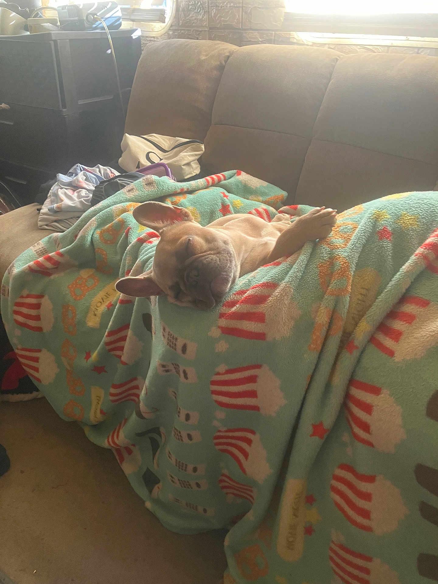 Gidget Marie is registered to the contest to win money with this photo: animal, blanket, brown_couch, comfort, couch, cozy, dog, fabric, fur, home_interior, indoor, living_room, nap, natural_light, pet, popcorn_pattern, relaxing, resting, sleeping, window_light