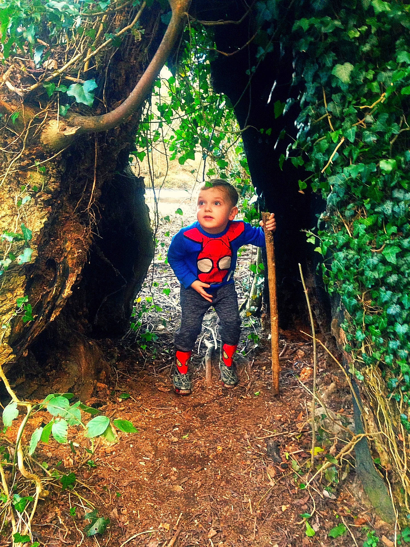 Logan is registered to the contest to win money with this photo: autumn, child, forest, habitat, jungle, leaf, natural_environment, nature, plant, rainforest, soil, tree, woodland, woody_plant