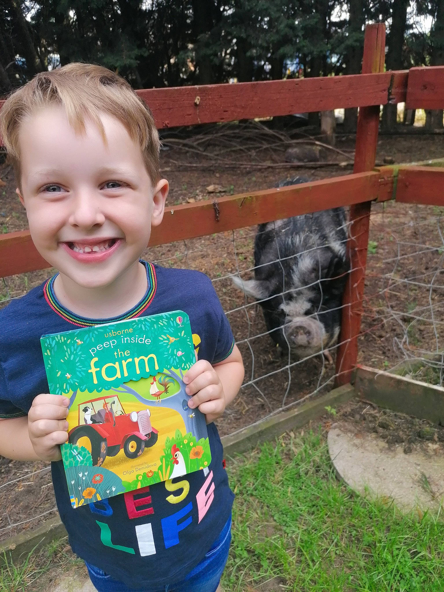 Cameron is registered to the contest to win money with this photo: baby_toddler_clothing, child, dog_breed, fence, fun, garden, grass, happy, home_fencing, joy, leisure, mammal, person, plant, play, recreation, sleeve, smile, t_shirt, toddler