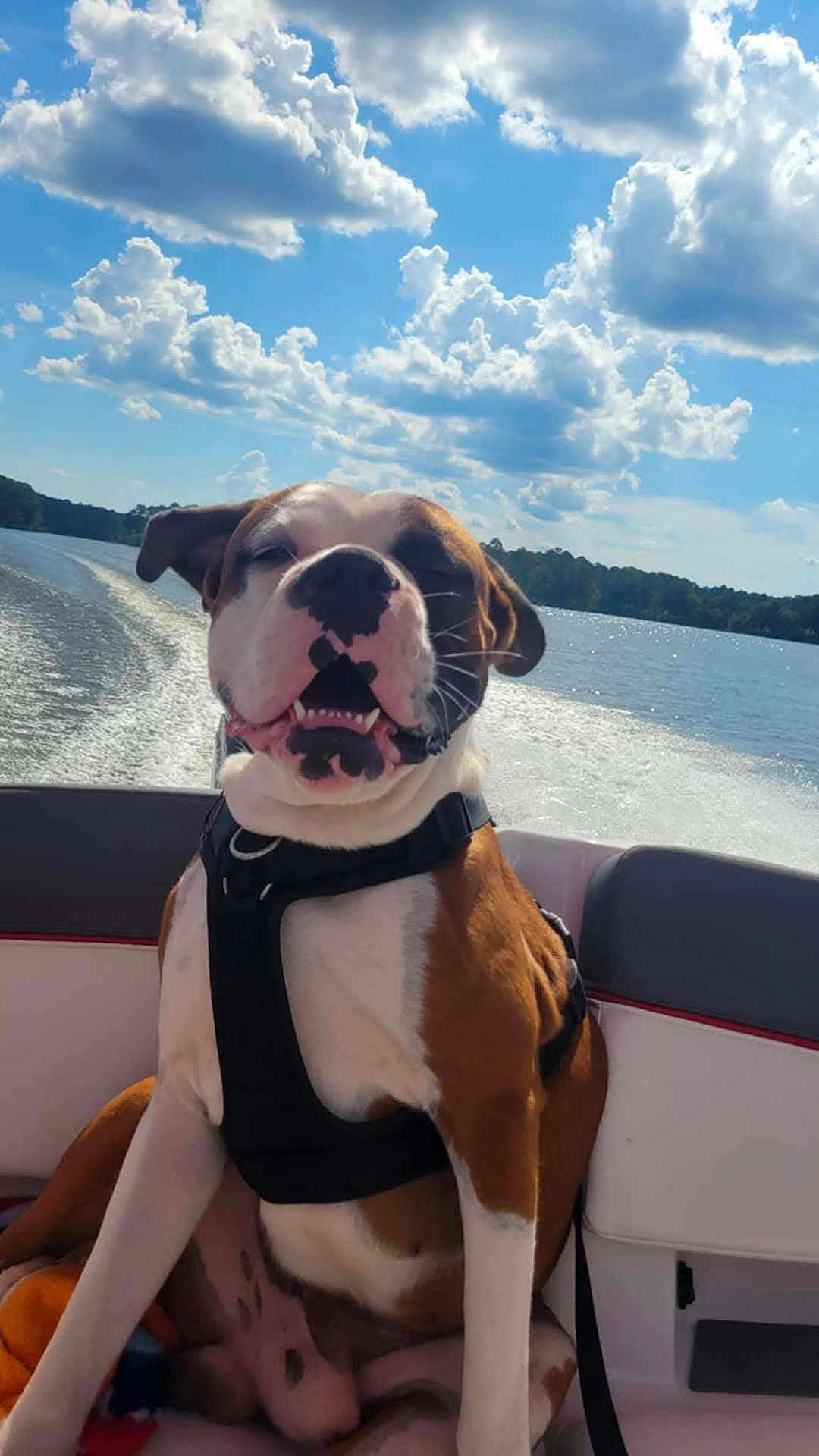 Max