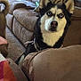 Skyy is registered to the contest to win money with this photo: