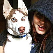 Koda joined the competition — help win amazing prizes!