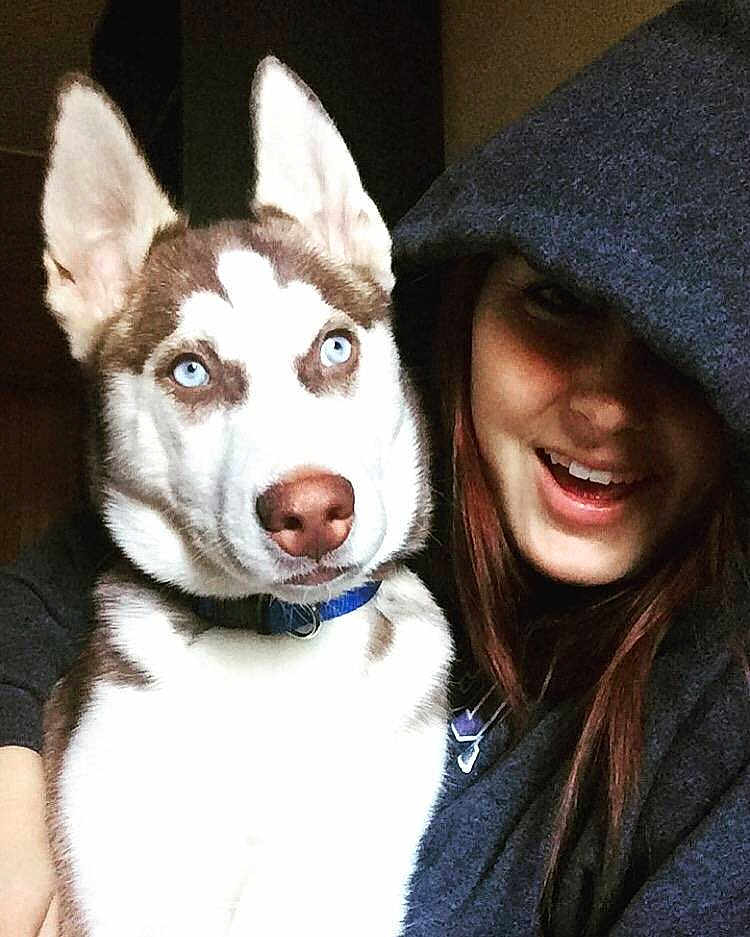 Koda