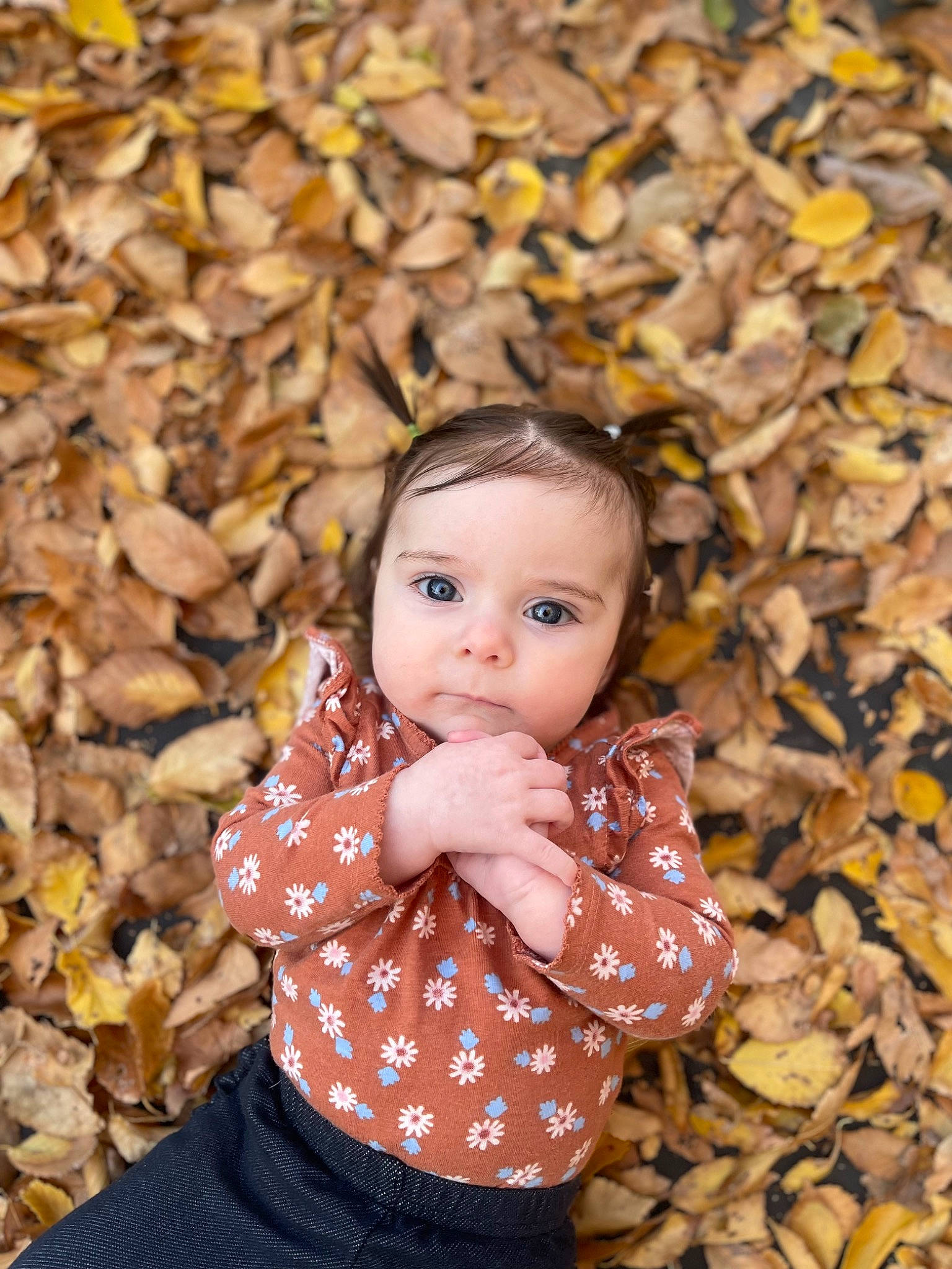 Eliza joined the competition — help win amazing prizes! baby, baby_toddler_clothing, cheek, child, deciduous, eye, flash_photography, grass, happy, pattern, people_in_nature, person, photograph, plant, portrait_photography, sleeve, spring, toddler, tree, wood