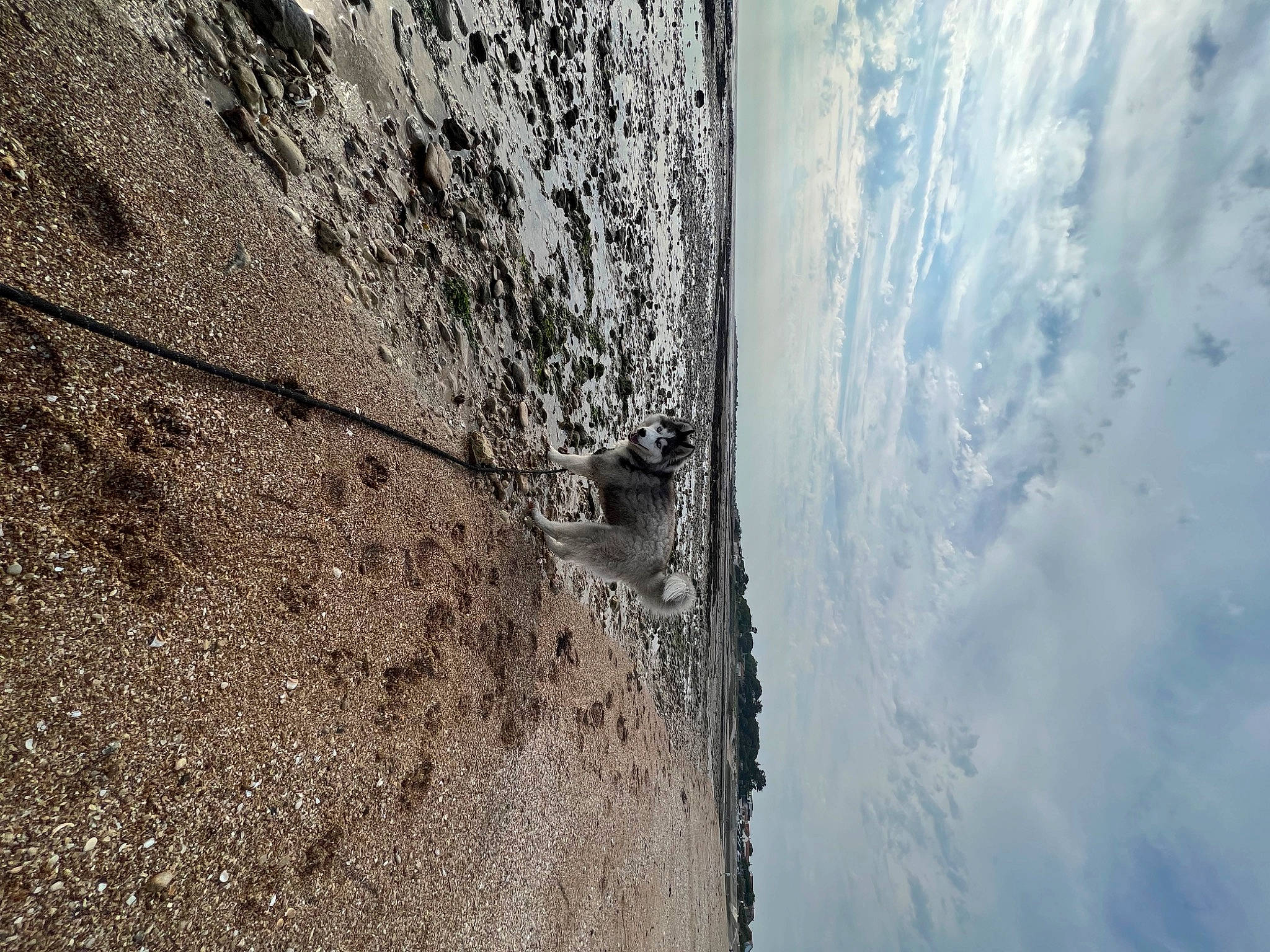 Mauí participe au concours pour gagner de l'argent avec cette photo : automotive_tire, bedrock, cloud, composite_material, concrete, formation, freezing, geological_phenomenon, geology, grey, landscape, road_surface, rock, sky, slope, soil, trunk, water, wind_wave, wood