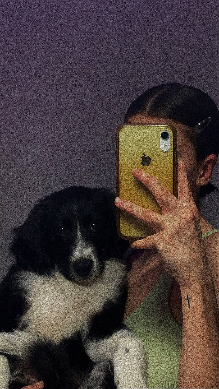 Masha participe au concours pour gagner de l'argent avec cette photo : border_collie, carnivore, communication_device, companion_dog, dog, dog_breed, eyelash, eyewear, fur, gesture, mobile_phone, nail, portable_communications_device, selfie, telephony, thumb, toy, whiskers, working_animal, wrist