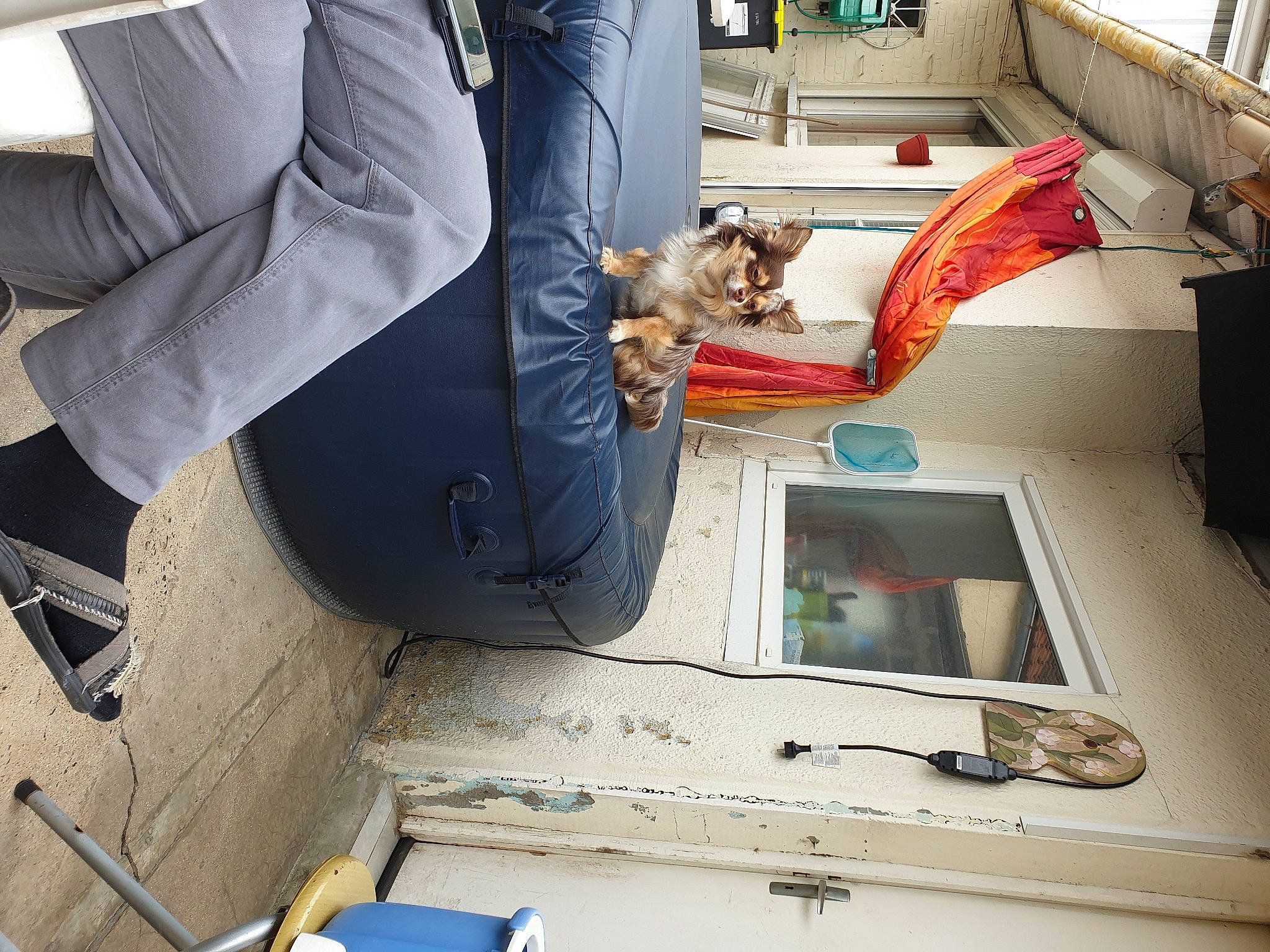 Noctis participe au concours pour gagner de l'argent avec cette photo : blazer, canidae, carnivore, companion_dog, couch, denim, design, dog, engineering, fur, glove, human_leg, machine, room, street_fashion, wood