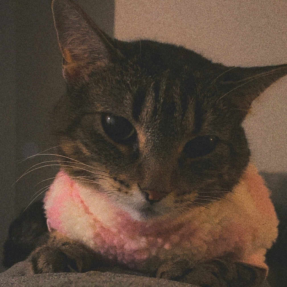Zoey