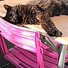 Oxo a rejoint le concours — aidez-le/la à gagner de superbes lots ! cat, black_cat, sleeping, table, pink_chair, outdoor, sunlight, relaxation, furniture, pet, animal, fur, resting, daylight, garden, shade, wooden_table, chair, lazy, domestic_cat