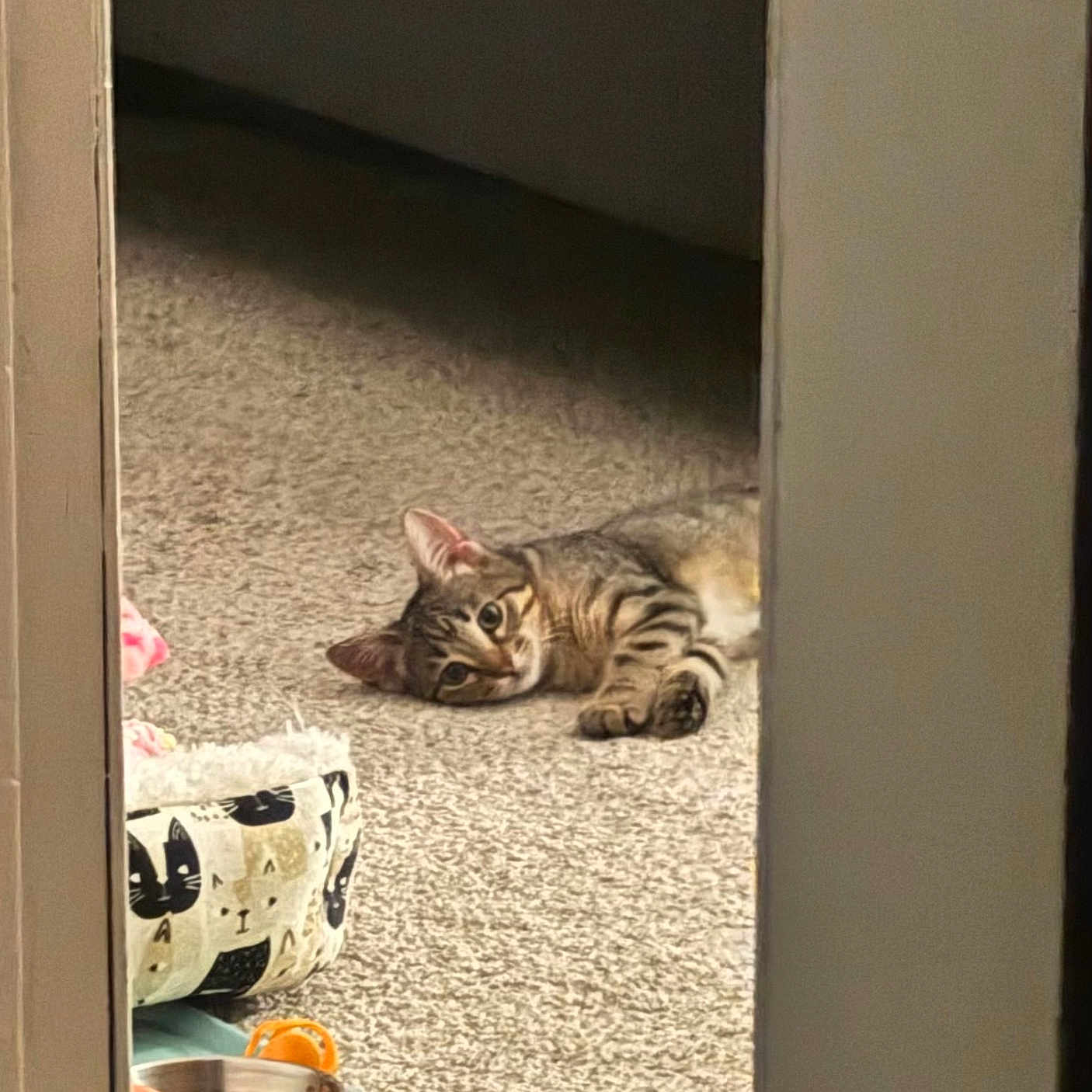 Mittens