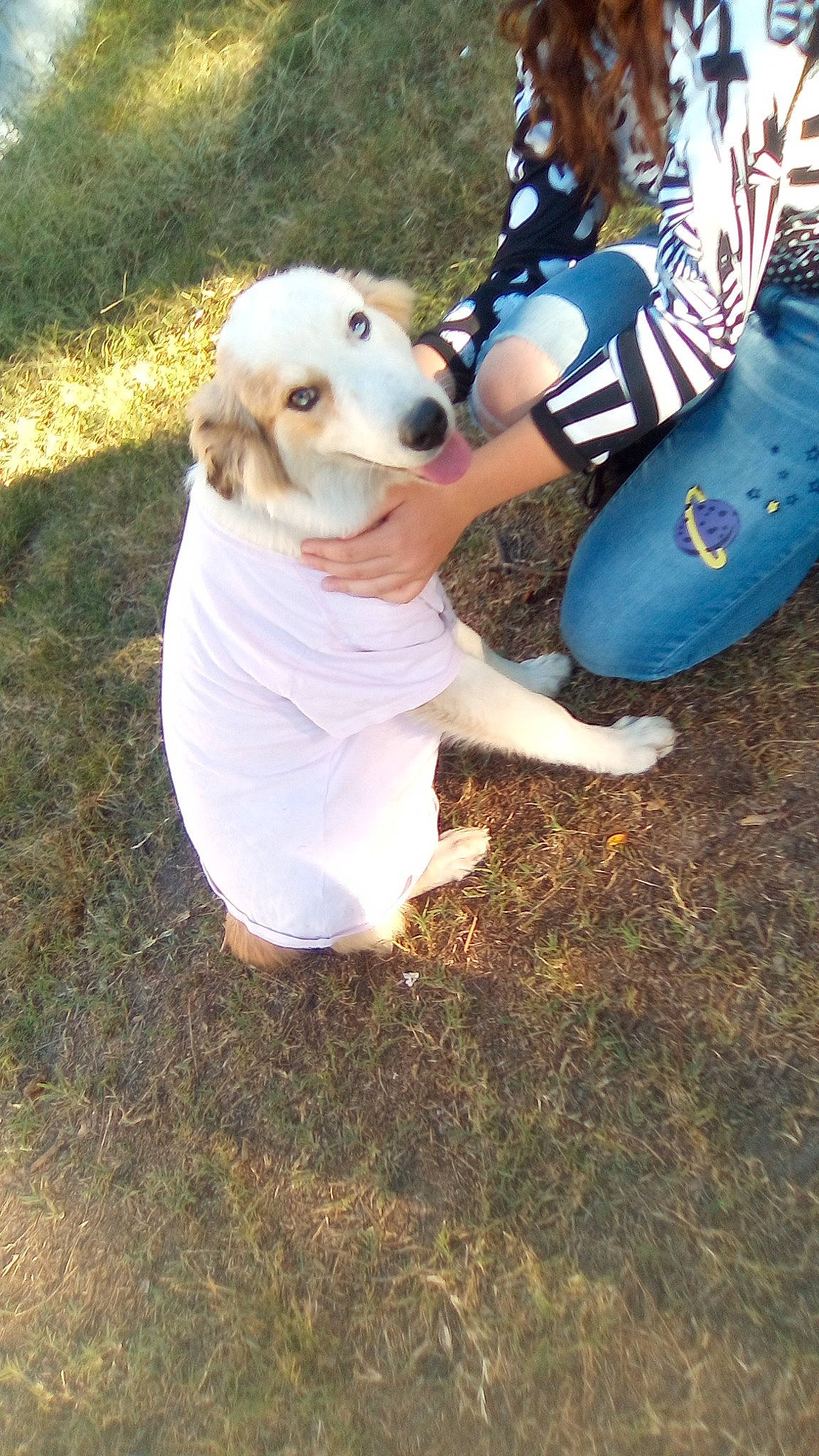 Girl is registered to the contest to win money with this photo: canidae, carnivore, companion_dog, dog, dog_breed, dog_clothes, fawn, fun, fur, grass, happy, human_leg, knee, people_in_nature, recreation, sitting, soil, sporting_group, tail, thigh