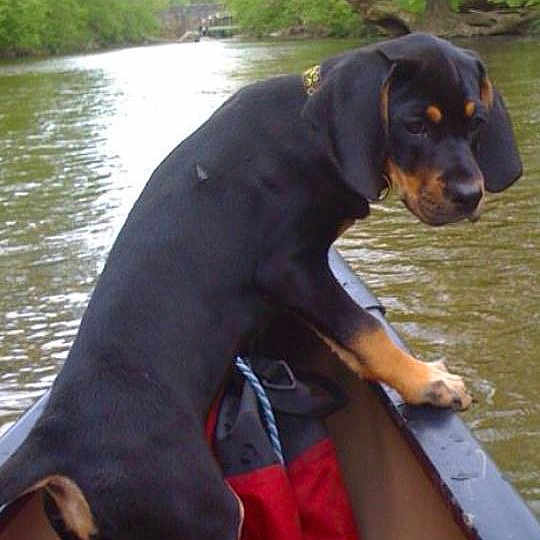 Sassy joined the competition — help win amazing prizes!