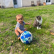 Arthur participe au concours pour gagner de l'argent avec cette photo : toddler, child, grass, cat, volleyball, outdoor, building, door, chair, greenery, animal, pet, playing, curious, sitting, striped_cat, nature, daylight, yard, footwear
