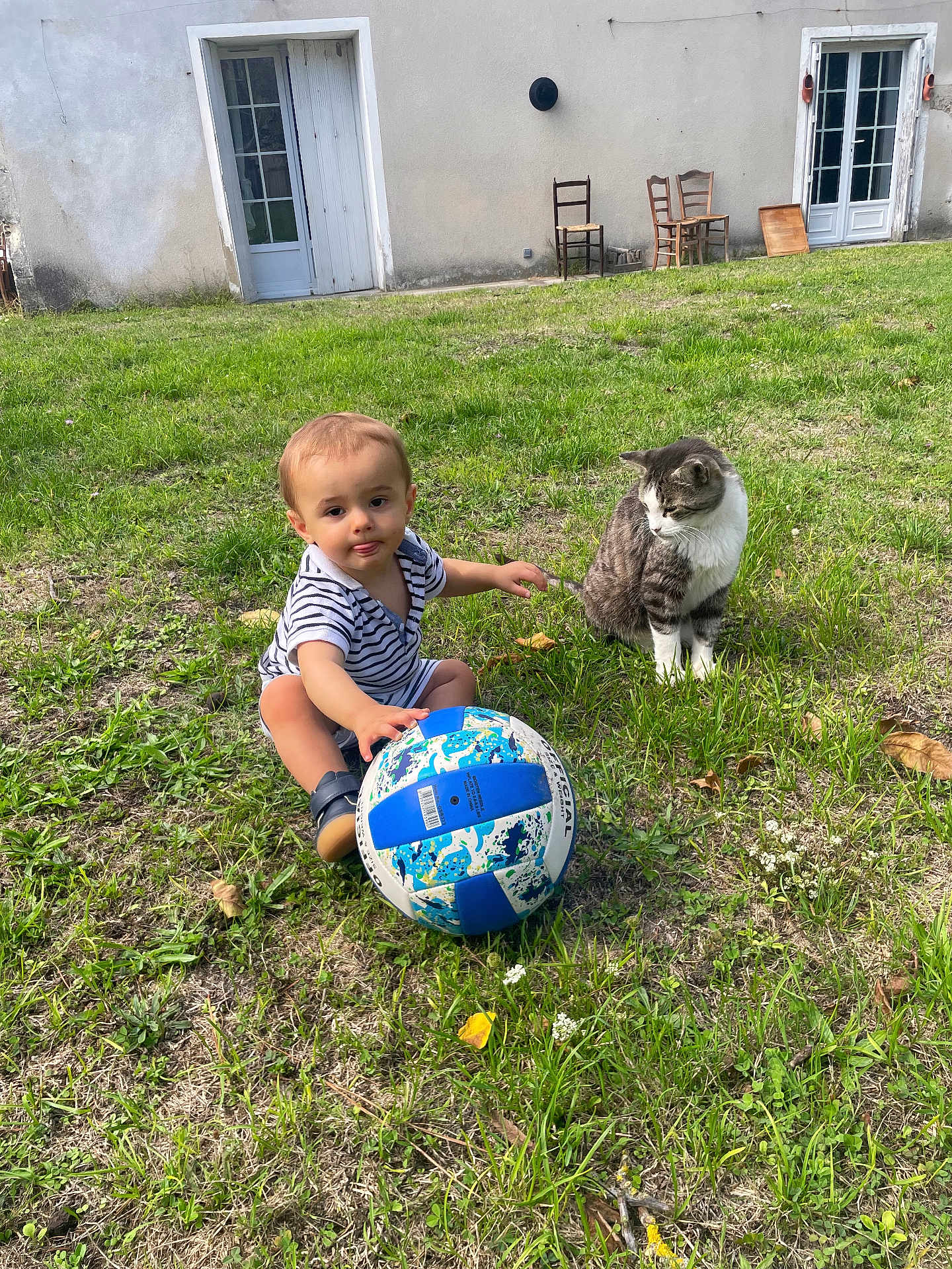 Arthur participe au concours pour gagner de l'argent avec cette photo : toddler, child, grass, cat, volleyball, outdoor, building, door, chair, greenery, animal, pet, playing, curious, sitting, striped_cat, nature, daylight, yard, footwear