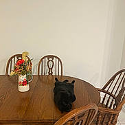 Alana is registered to the contest to win money with this photo: animal, black_cat, cat, decor, domestic_cat, empty_wall, flower_vase, flowers, furniture, home_interior, household, indoor, pet, relaxing_cat, resting, still_life, tabletop, tile_floor, wooden_chairs, wooden_table