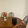 animal, black_cat, cat, decor, domestic_cat, empty_wall, flower_vase, flowers, furniture, home_interior, household, indoor, pet, relaxing_cat, resting, still_life, tabletop, tile_floor, wooden_chairs, wooden_table