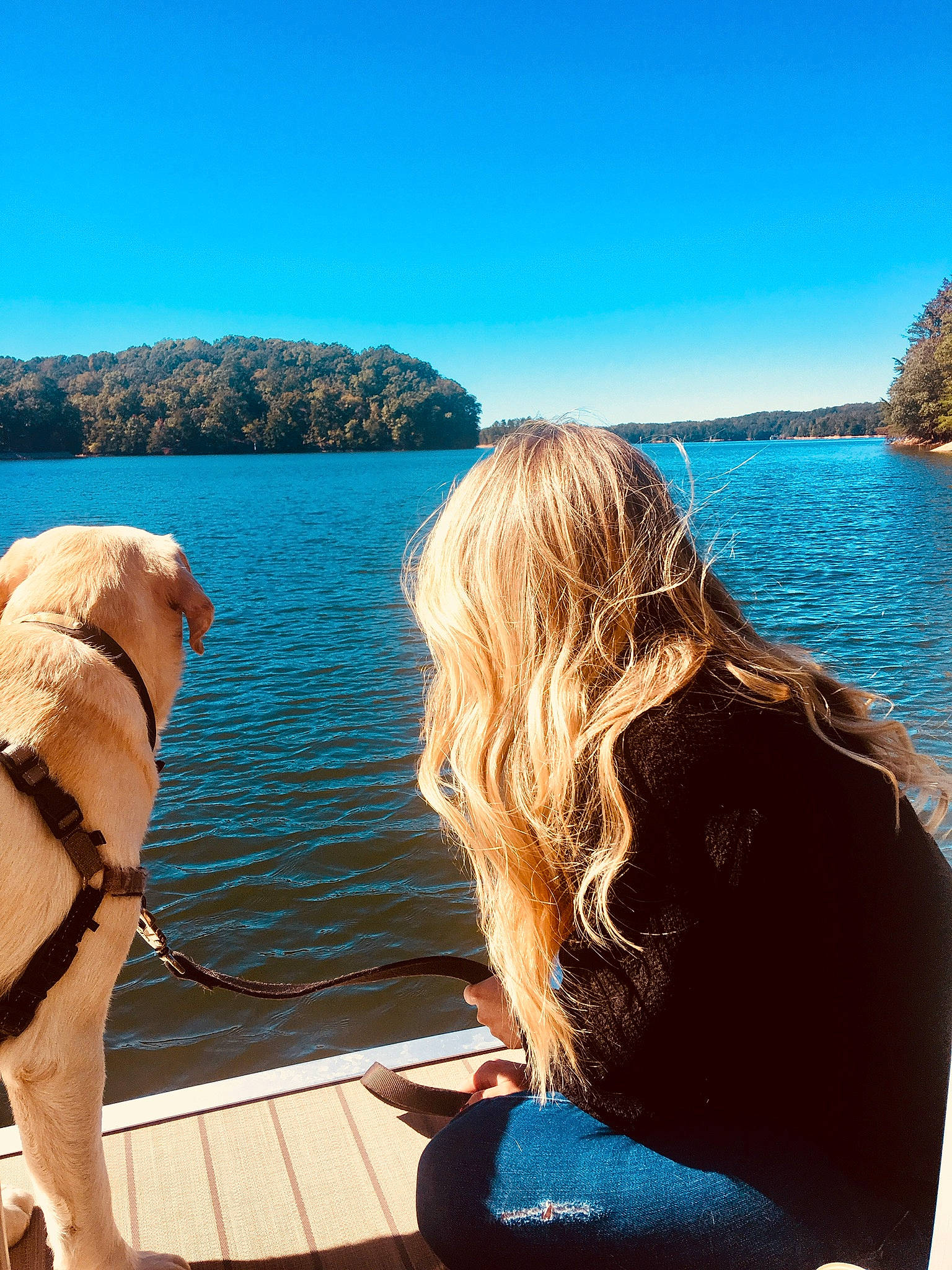 Gabe joined the competition — help win amazing prizes! azure, blue, canidae, fawn, happy, leisure, long_hair, ocean, photography, rock, sea, sitting, sky, sporting_group, summer, sunlight, tourism, travel, tree, vacation