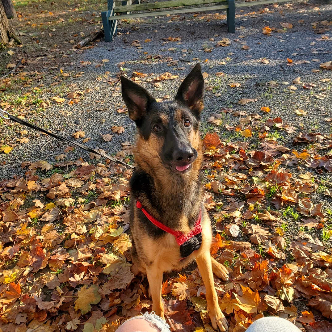Molly