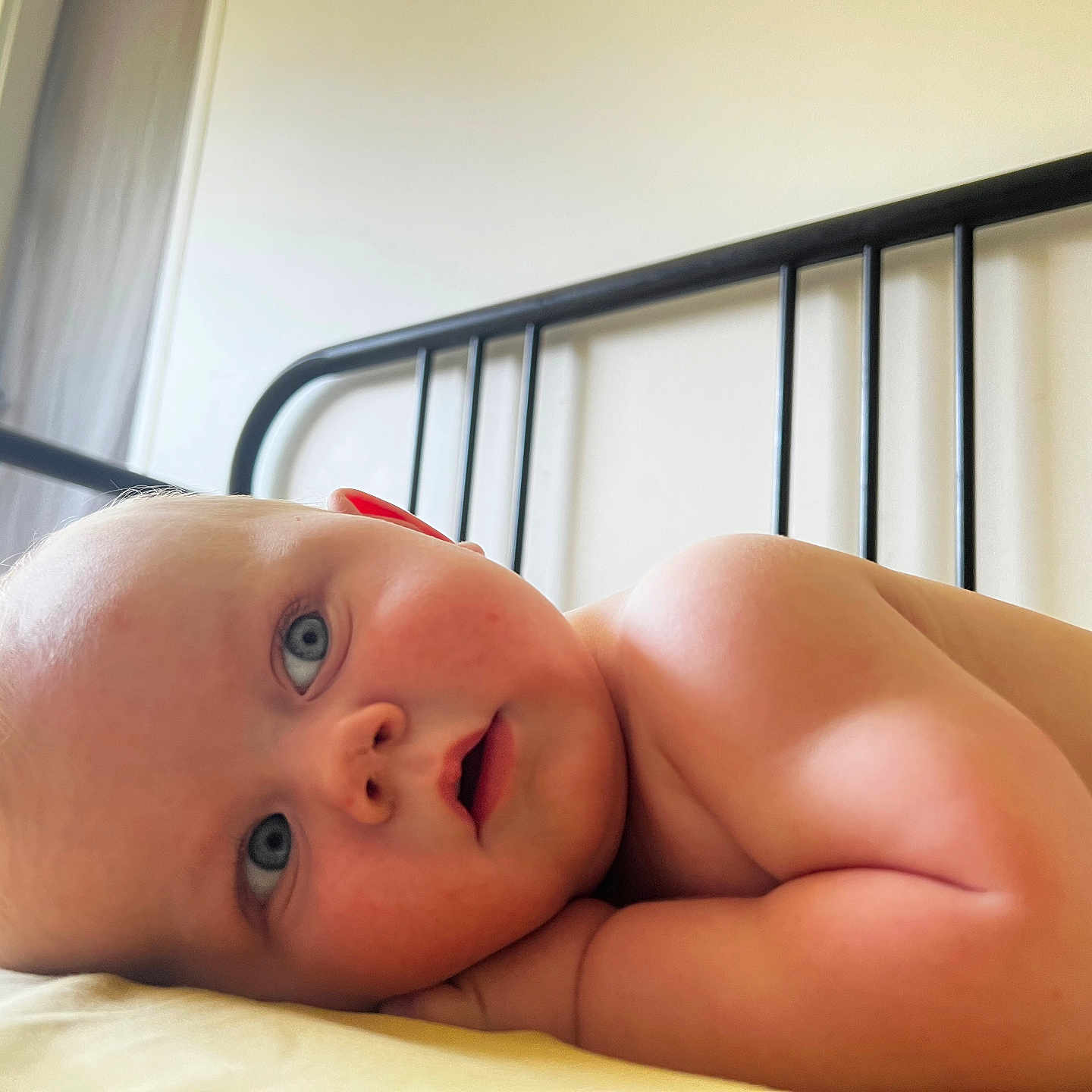 Eden Petit Garcon participe au concours pour gagner de l'argent avec cette photo : arm, baby, bed, blue_eyes, cheek, child, close_up, curious, face, head, indoors, infant, lying_down, metal_bedframe, natural_light, neutral_wall, portrait, skin, soft_light, window