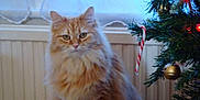 Phoebe is registered to the contest to win money with this photo: