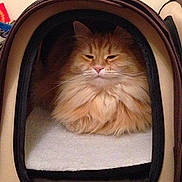 Phoebe is registered to the contest to win money with this photo: