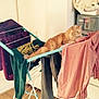 Phoebe is registered to the contest to win money with this photo: