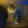 Sheldon joined the competition — help win amazing prizes!