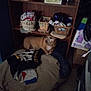 basket, blanket, blanket_on_floor, brown_dog, clothes, cozy, dim_light, dog, domestic, floor, household_items, indoor, pet, relaxed, resting, room, shelf, small_dog, storage, wooden_furniture
