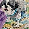 abstract_background, animal, artistic, black_and_white, blue, colorful, cozy, cute, dog, painting, patterned_blanket, pet, playful, portrait, purple, small_dog, sweater, tongue_out, watercolor, yellow