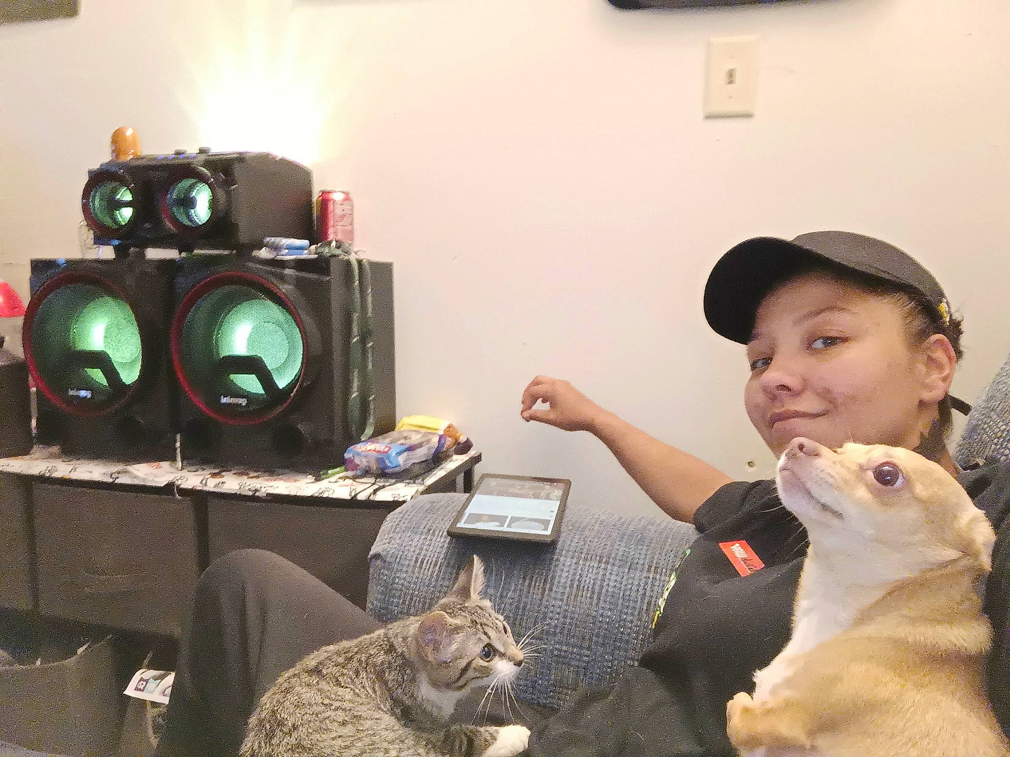 Baybay joined the competition — help win amazing prizes! audio_equipment, baseball_cap, cameras_optics, carnivore, cat, domestic_short_haired_cat, electronic_instrument, felidae, fur, hat, home_appliance, loudspeaker, machine, major_appliance, organ, small_to_medium_sized_cats, smile, subwoofer, toy, whiskers