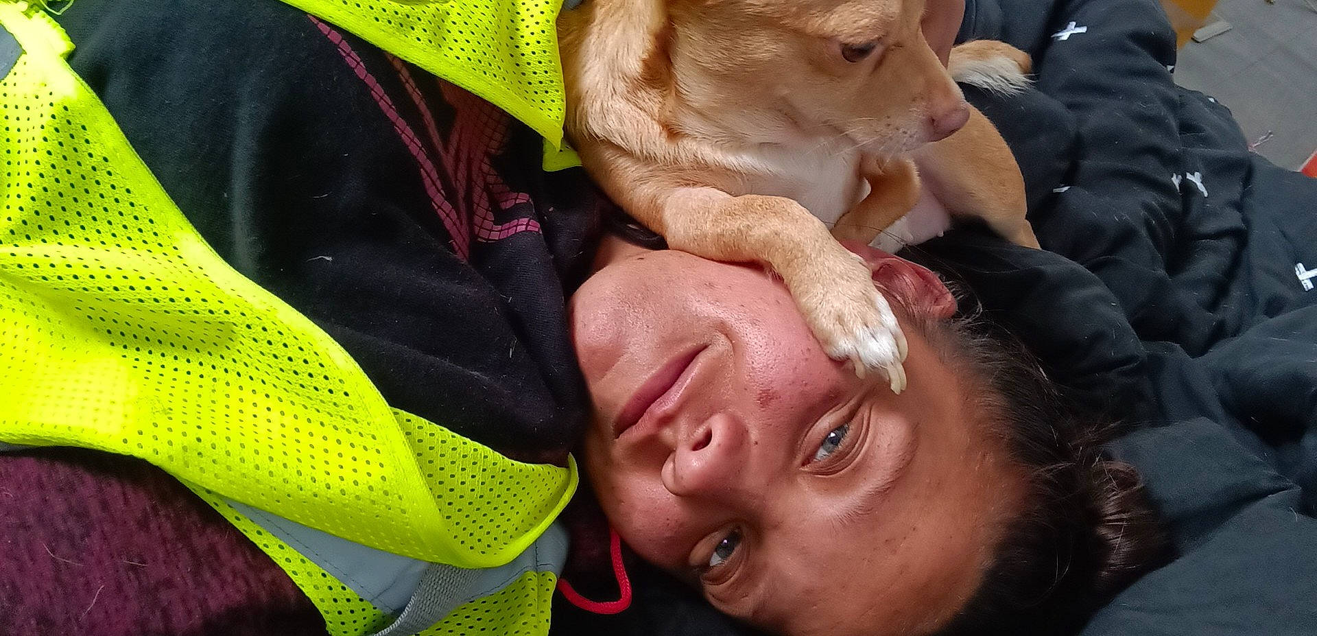 Baybay is registered to the contest to win money with this photo: adventure, carnivore, child, companion_dog, dog, dog_breed, ear, fashion_accessory, fun, gesture, grass, happy, jaw, leisure, nose, personal_protective_equipment, selfie, smile, wrinkle, yellow