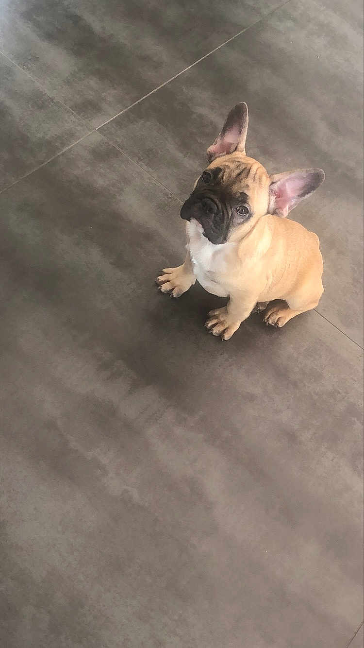 Pablo