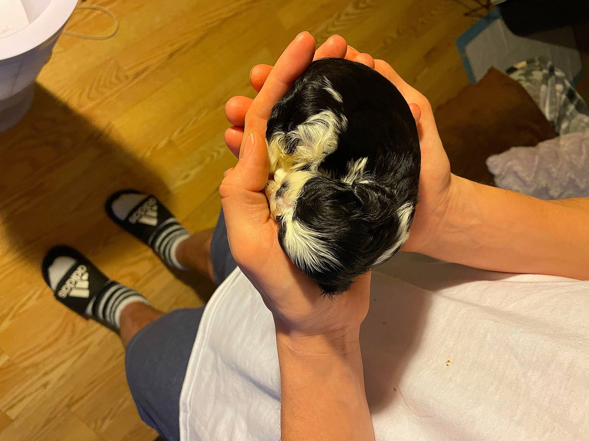 Bitty joined the competition — help win amazing prizes! abdomen, bathing, chest, comfort, elbow, finger, flooring, foot, hardwood, human_leg, joint, knee, leg, nail, tattoo_artist, thigh, thumb, toddler, wood, wrist