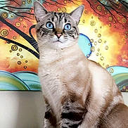 Jack is registered to the contest to win money with this photo: cat, blue_eyes, striped_fur, sitting, indoor, painting, colorful_background, abstract_art, wall, feline, portrait, domestic_cat, whiskers, ears, curious, alert, soft_fur, close_up, animal, pet