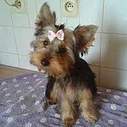 Jana a rejoint le concours — aidez-le/la à gagner de superbes lots !