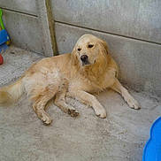 Given a rejoint le concours — aidez-le/la à gagner de superbes lots !