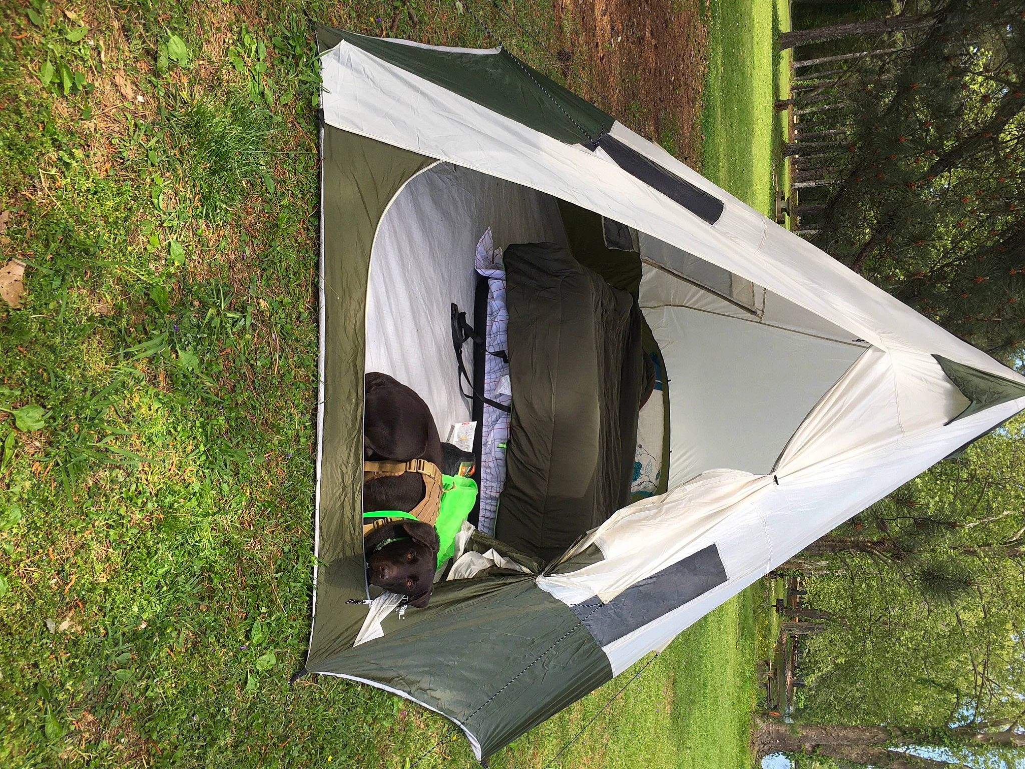 Wrangler is registered to the contest to win money with this photo: adventure, automotive_exterior, camping, carnivore, chair, dog, grass, grassland, hiking_equipment, jungle, leisure, plant, plant_community, recreation, shade, tarpaulin, tent, tints_and_shades, tree, vehicle_door