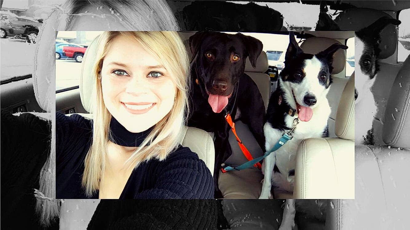 Wrangler joined the competition — help win amazing prizes! borador, canidae, carnivore, companion_dog, couch, dog, dog_breed, dog_collar, event, family_car, flash_photography, formal_wear, fur, happy, luxury_vehicle, smile, snout, sporting_group, street_fashion, vehicle_door