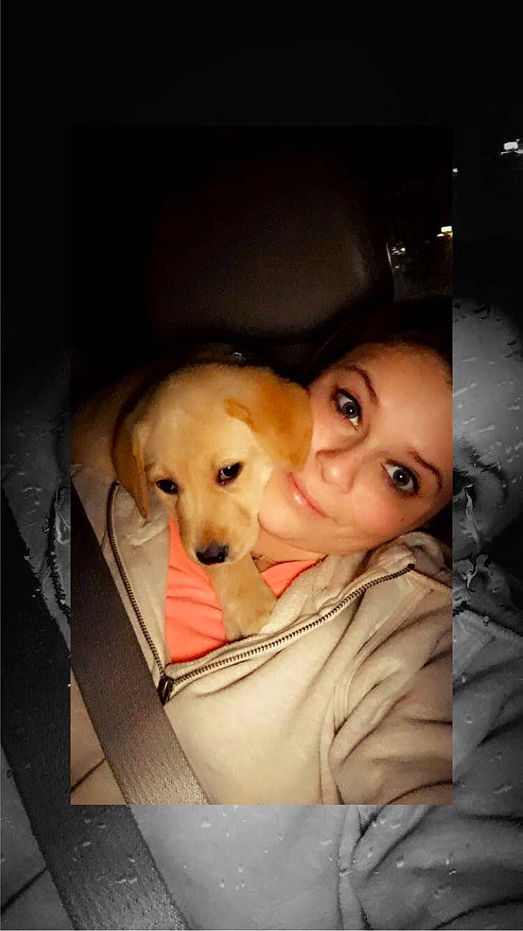 Khaleesi joined the competition — help win amazing prizes! canidae, carnivore, comfort, companion_dog, dog, dog_breed, fawn, flash_photography, fur, happy, labrador_retriever, nose, photo_caption, puppy_love, retriever, selfie, sitting, snout, sporting_group, whiskers