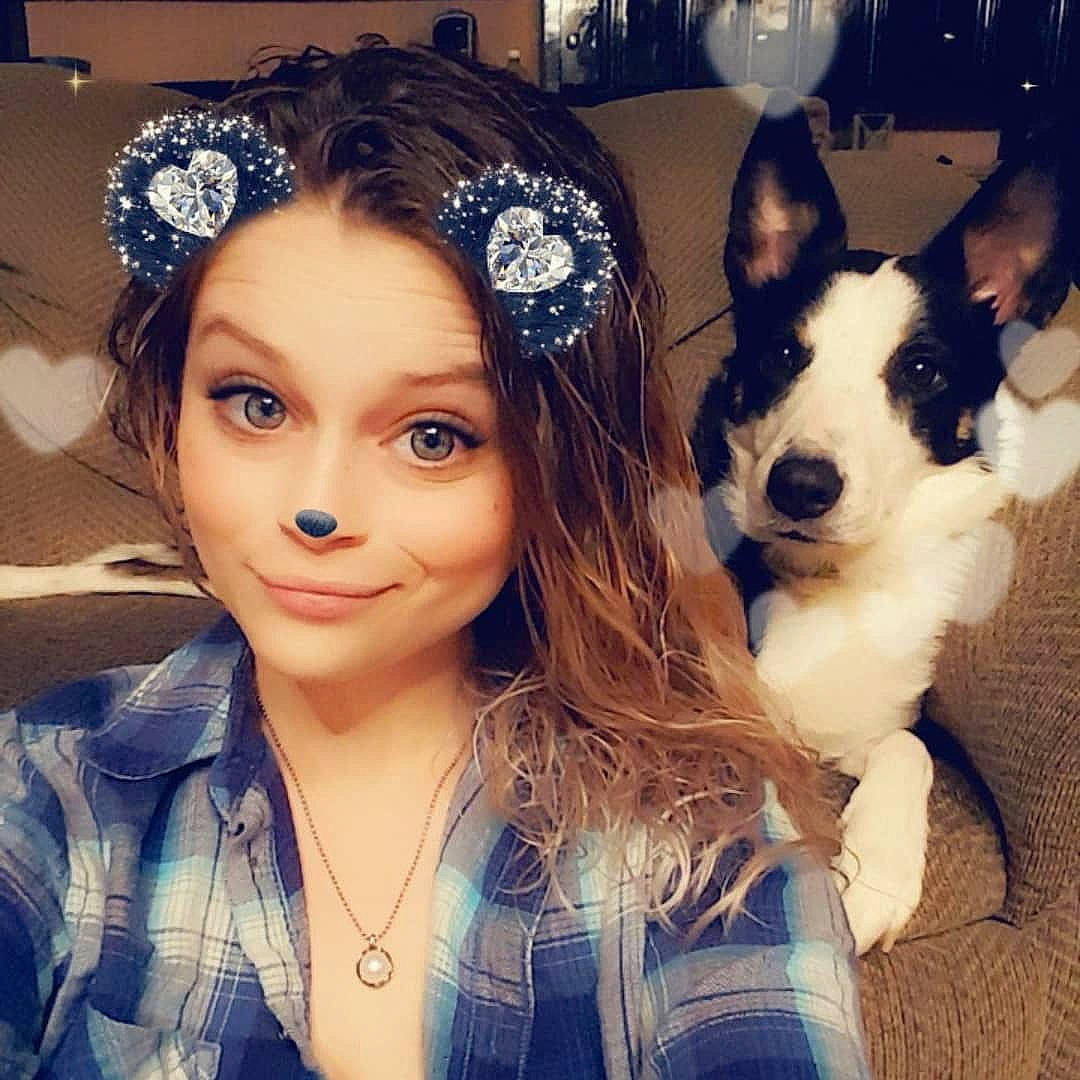 Rose is registered to the contest to win money with this photo: beauty, black_hair, carnivore, clothing, companion_dog, cool, dog, dog_breed, ear, electric_blue, eyelash, flash_photography, happy, headband, headpiece, herding_dog, jewellery, long_hair, snout, tiara