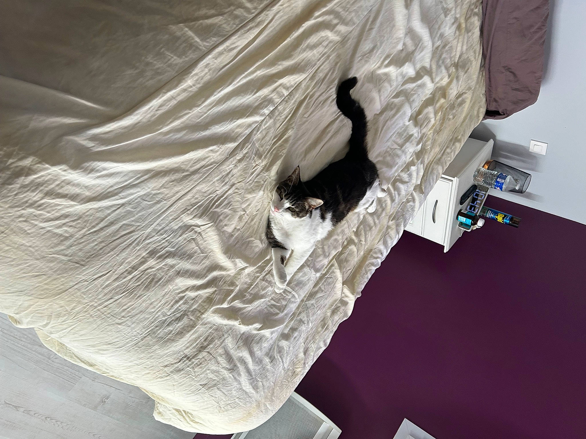 Minette a rejoint le concours — aidez-le/la à gagner de superbes lots ! art, auto_part, automotive_design, automotive_exterior, bridal_accessory, linens, paper, paper_product, plastic, room, sculpture, sleeve, tints_and_shades, transparent_material, tree, vehicle_door, visual_arts, window, wood