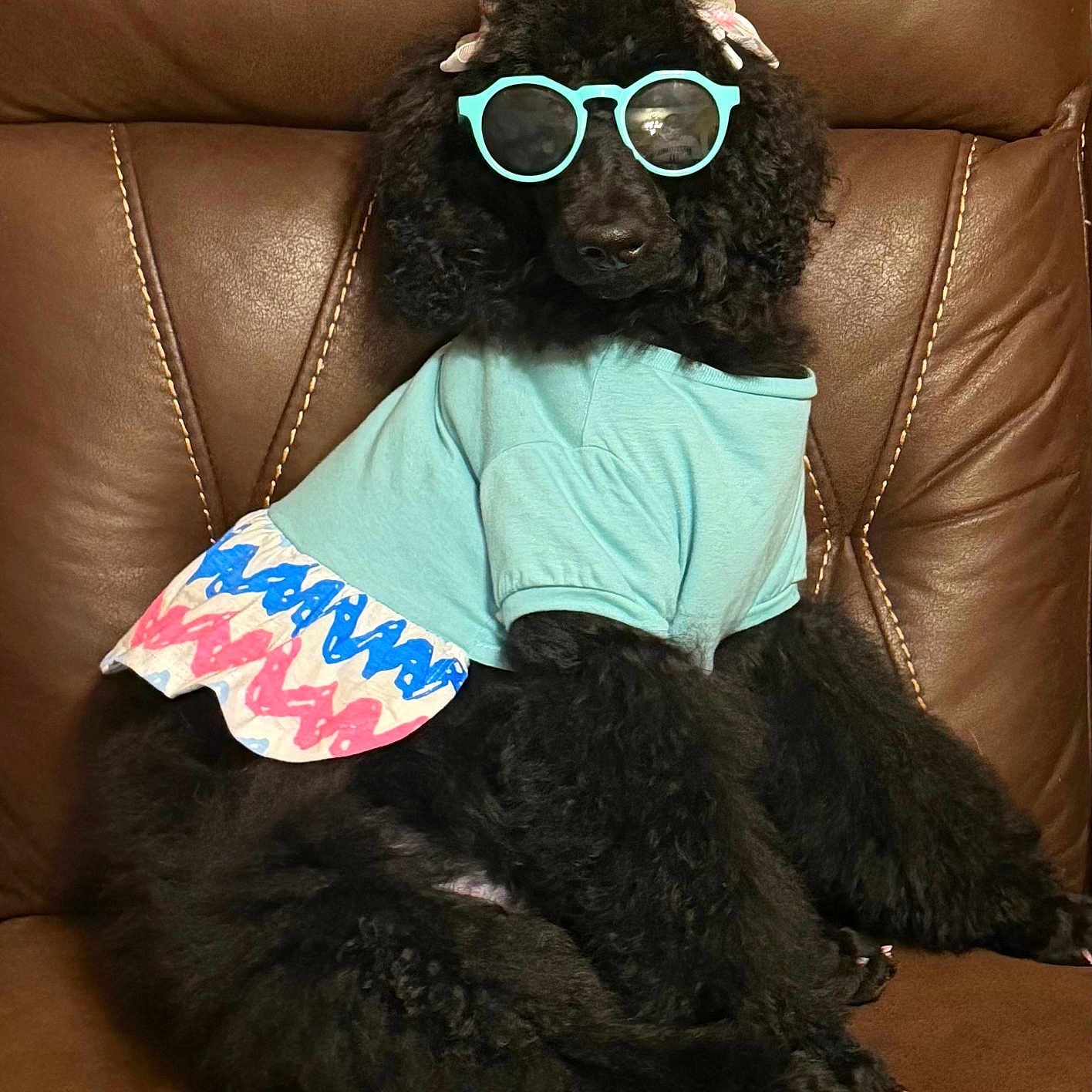 Lola