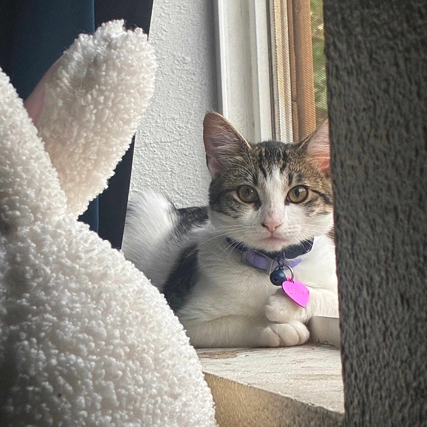 Luna