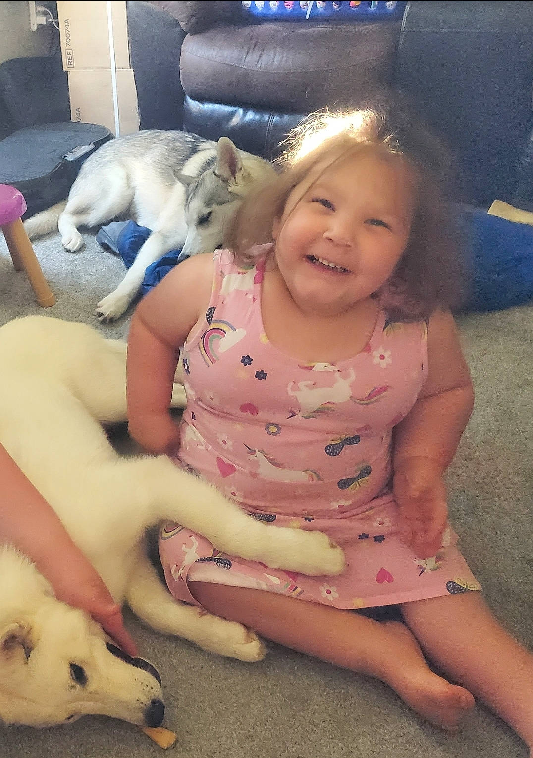 Zara is registered to the contest to win money with this photo: blue, carnivore, dog, dog_breed, dress, fawn, finger, floor, happy, human_body, iris, joy, leg, mammal, mouth, person, pink, skin, smile, thigh