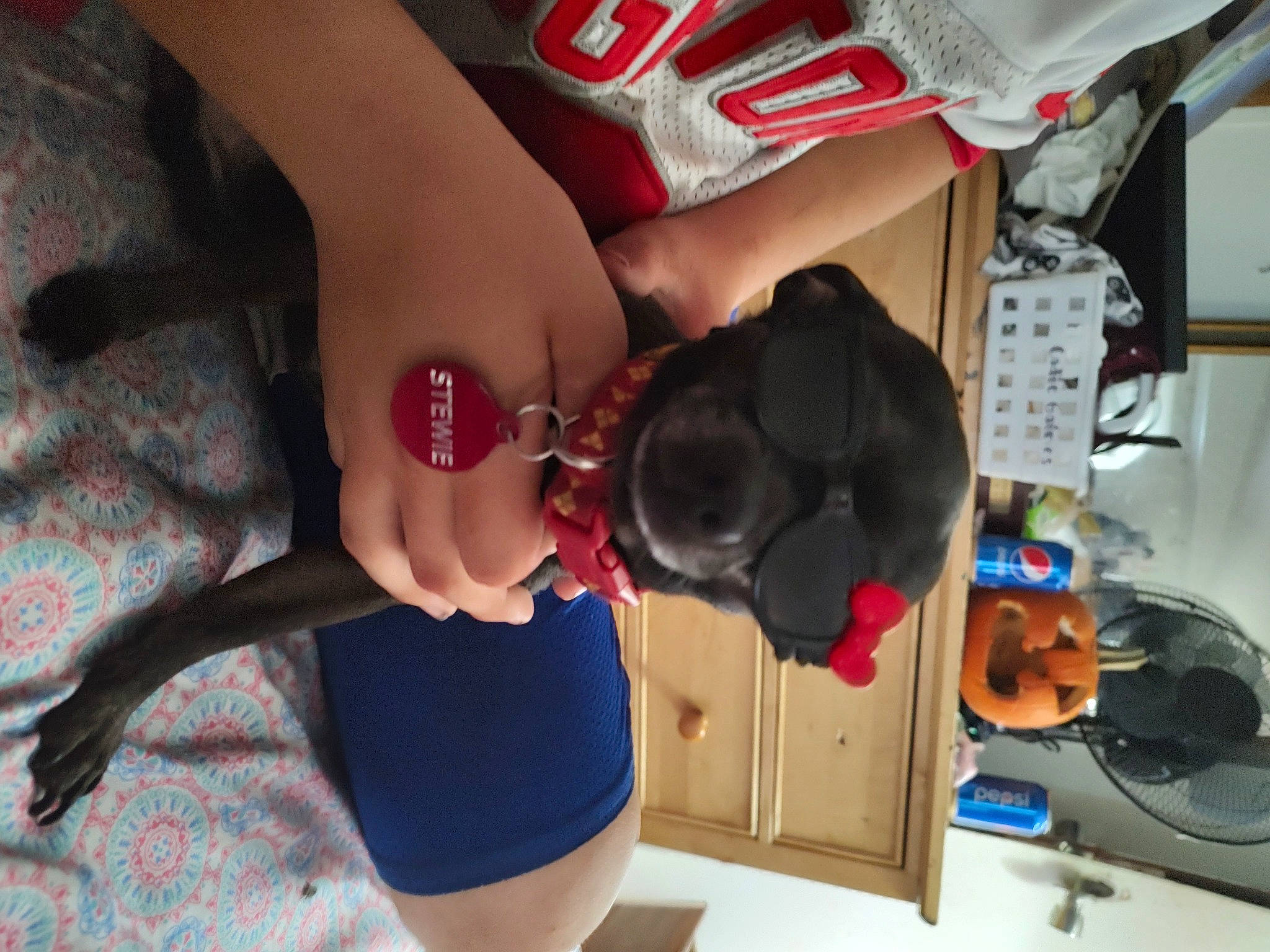 Stewie is registered to the contest to win money with this photo: carmine, dress, elbow, eyewear, fashion_accessory, finger, foot, fun, gesture, headgear, helmet, human_leg, knee, nail, personal_protective_equipment, sunglasses, thigh, toy, trunk, wrist