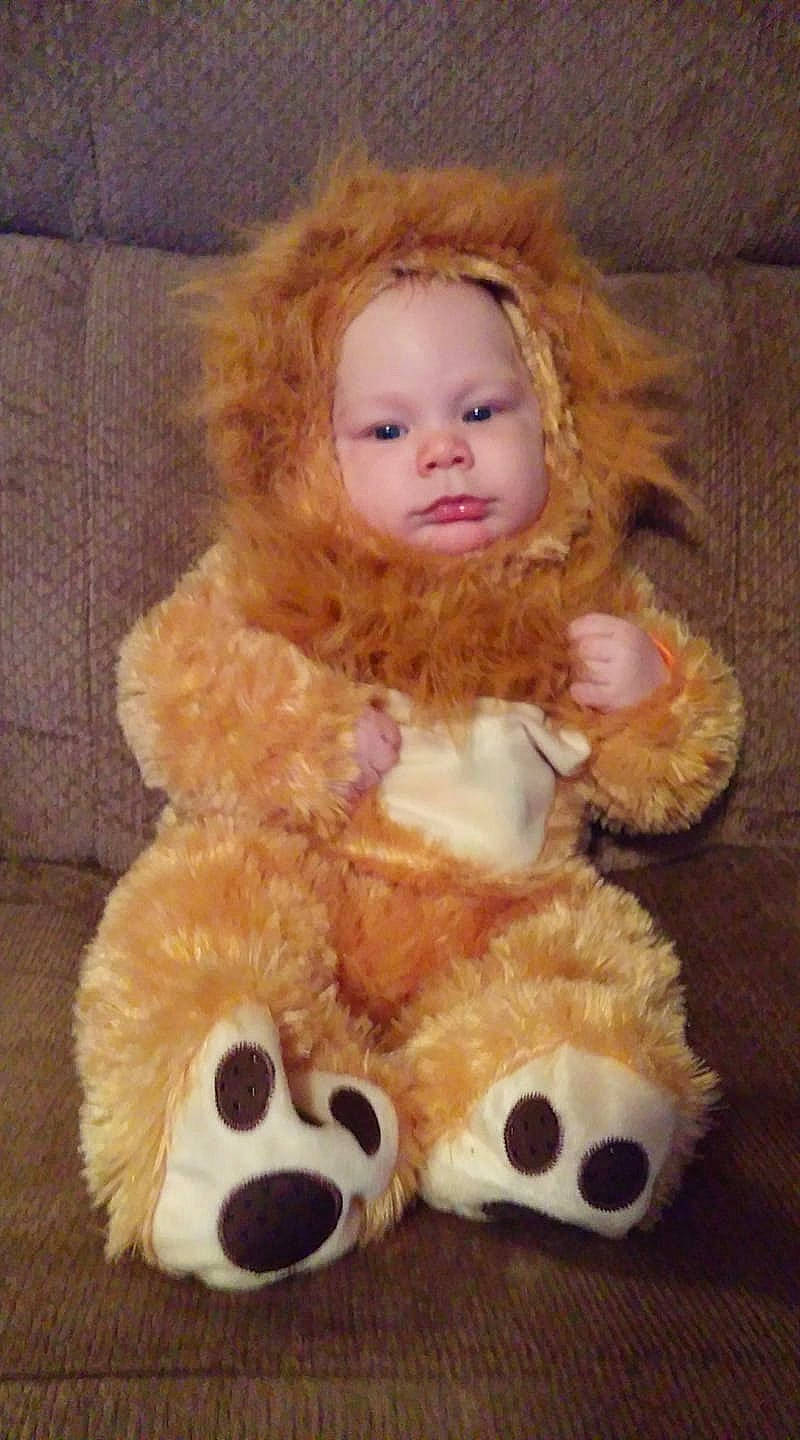 Evan is registered to the contest to win money with this photo: child, doll, fur, person, plush, stuffed_toy, teddy_bear, toddler, toy