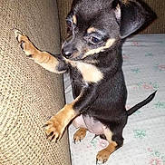 Baby Girl participe au concours pour gagner de l'argent avec cette photo :