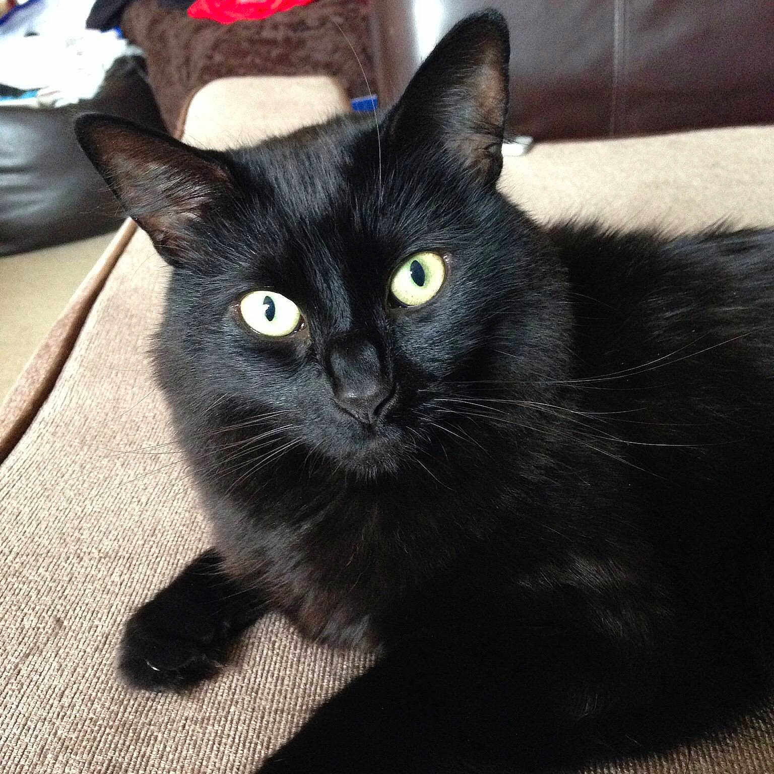 Ronnie is registered to the contest to win money with this photo: